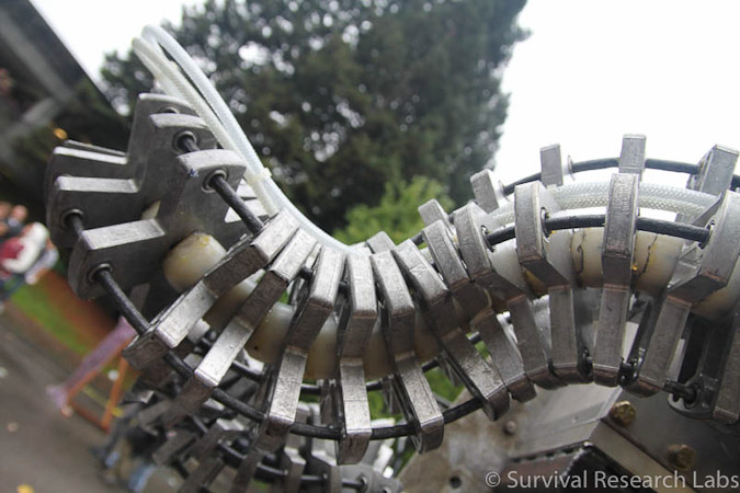 Spine Robot
